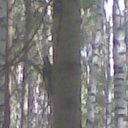 ���� Vlad, ������ - ��������� 15 �������� 2012 � ������ ���������� ������