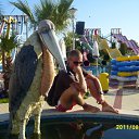 ���� ���������, ������, 43 ���� - ��������� 25 ���� 2013 � ������ ���� ����������