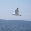 ���� Toryst, �����-���������, 53 ���� - ��������� 22 �������� 2010 � ������ ����� ������� �������� ���� - ������� ������!�