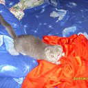  ,  , 33  -  27  2011    