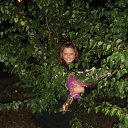  , , 44  -  16  2010   !