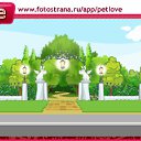 ���� ������, ���������, 48 ��� - ��������� 19 ������� 2010 � ������ �PetLove�
