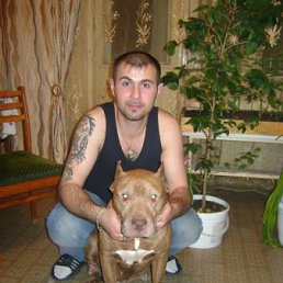 ���� �����, ����, 41 ��� - ��������� 9 ���� 2013