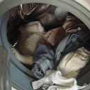 ���� Edi4ok, ����, 54 ���� - ��������� 20 ��� 2012