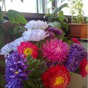 ���� ���������, ��������, 49 ��� - ��������� 5 �������� 2011 � ������ ������)))�