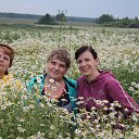 ���� �����, ������, 49 ��� - ��������� 25 ���� 2013 � ������ ���� ����������