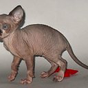 ���� ������, �����-���������, 47 ��� - ��������� 16 ������ 2011 � ������ ������� 2011�