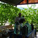 ���� Vladimir, ������ - ��������� 1 ������� 2012 � ������ �������