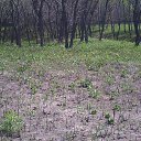 ���� ������, ���������, 63 ���� - ��������� 28 ��� 2012 � ������ ���� ����������