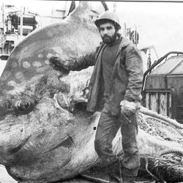 ���� ��������, ������, 71 ��� - ��������� 25 ������ 2013