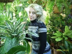 ����, �������������, 53 ����