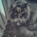 ���� ������, �����, 30 ��� - ��������� 7 ������ 2009