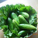 ���� �����, ������ - ��������� 5 ������� 2012 � ������ ����� ��������