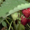 ���� �������, ������ ���, 60 ��� - ��������� 3 ����� 2012 � ������ �2�