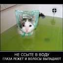 ���� ������������������������������������������������������������������, ��������, 39 ��� - ��������� 2 ���� 2010 � ������ ����ݻ