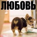 ���� Skoda, ������, 36 ��� - ��������� 31 ���� 2013 � ������ �=)�