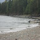 ���� �����, �������, 42 ���� - ��������� 17 �������� 2011 � ������ �������