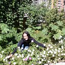 ���� ���������, �����-���������, 43 ���� - ��������� 28 ������� 2011 � ������ ���� ����������