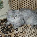 ���� Svetlanas, ���������, 47 ��� - ��������� 7 ���� 2010 � ������ ���� �������