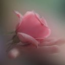 ���� ���������, ������ - ��������� 18 ���� 2013 � ������ ��������