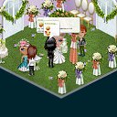 ���� ���������, ��������, 49 ��� - ��������� 3 ����� 2013 � ������ �Tropikania�