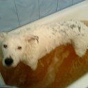 ���� ������, ����-�������, 41 ��� - ��������� 4 ������� 2010 � ������ ���� ��������