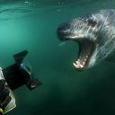 ���� ����� - ���������� ��������!!!, �����������, 56 ��� - ��������� 20 ������� 2009 � ������ ������������� ��������� � ��������� ���!�