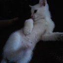 ���� ���4o���(�4-jb)������� �� �����, �����������, 28 ��� - ��������� 5 ������� 2011 � ������ ������....� ��� �� ���