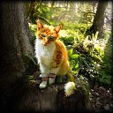 ���� Quarz, ��������� - ��������� 30 ���� 2013 � ������ ���� ����������