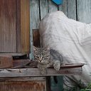 ���� �����, ������, 49 ��� - ��������� 25 ������� 2013 � ������ ���� ����������