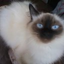 ���� ����, �������� - ��������� 22 �������� 2012 � ������ ����� �������)))�