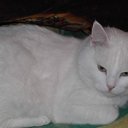 ��������� �� ������� ���� ����������