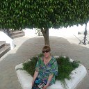 ���� ������, ������ - ��������� 24 ���� 2013 � ������ ���� ����������