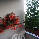 ���� Igor, �����, 50 ��� - ��������� 12 ������� 2009 � ������ �������