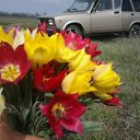 ���� ��������, ���������, 66 ��� - ��������� 21 ������ 2013 � ������ ���� ����������