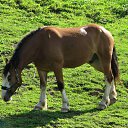 ���� ���������, ������, 62 ���� - ��������� 11 ������� 2012 � ������ ���� ����������