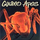  Ҹ, -, 35  -  25  2010   Guano Apes