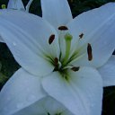 ���� ������, ������, 32 ���� - ��������� 24 ������ 2009 � ������ �...�