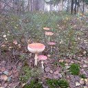 ���� �������, �������, 58 ��� - ��������� 15 �������� 2012 � ������ ��� �� ��� ������ �����������