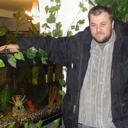 ���� ����, �������, 53 ���� - ��������� 12 ������ 2010