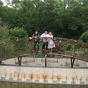 ���� �����, �����������, 38 ��� - ��������� 29 ���� 2012 � ������ ���� ����������