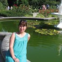 ��������� ������������ ���
(� ���� ����� ��������� ������ ������ "��������" , ���� ��������� �������� �������� �� ������� ������� 2013�