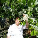 ���� �������, �����, 72 ���� - ��������� 18 ��� 2013 � ������ ���� ����������