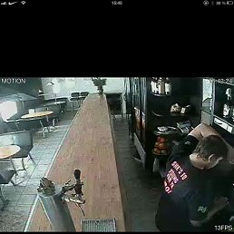 ����, ������, 37 ���