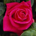 ���� Val, ������, 51 ��� - ��������� 1 ������ 2011 � ������ �������