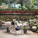 ���� �����, ���� - ��������� 21 ������ 2011 � ������ �� ��������