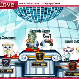 ���� D, ������-��������, 44 ���� - ��������� 10 ������ 2010