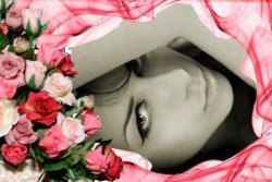 ���� ������, ���������, 59 ��� - ��������� 10 ���� 2013