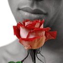 ���� ������-, ������������, 52 ���� - ��������� 2 ������� 2012 � ������ �������