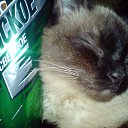 ���� Elena, ��������, 56 ��� - ��������� 6 ������� 2012 � ������ �������